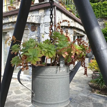 Collina E Mare * Camogli