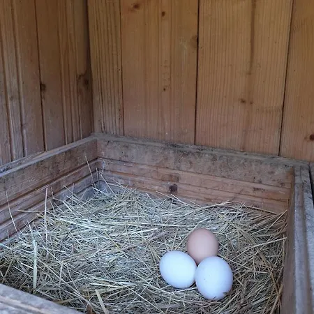 Appartement Collina E Mare Camogli