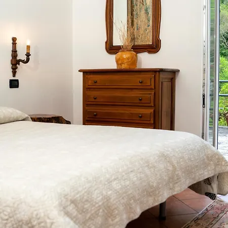 Collina E Mare Camogli