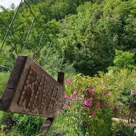 公寓 Collina E Mare 卡莫利