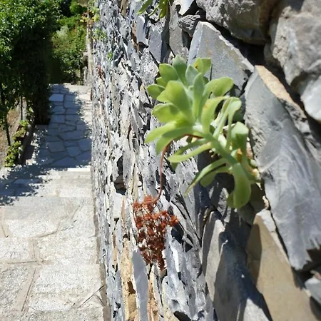 Collina E Mare 公寓 *