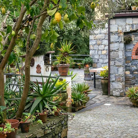 Collina E Mare Lägenhet Camogli