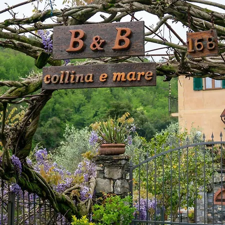 Collina E Mare *