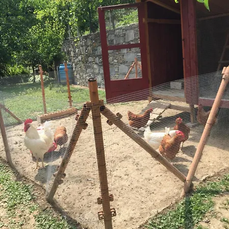 Collina E Mare Lägenhet Camogli