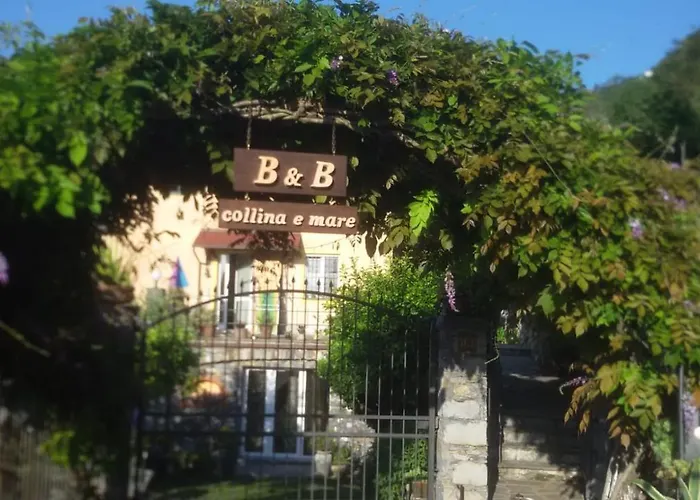 Collina E Mare *