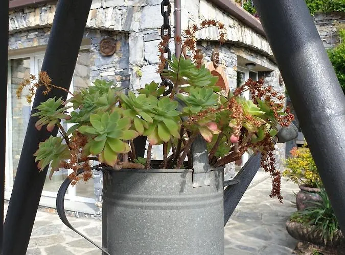 Collina E Mare * Camogli