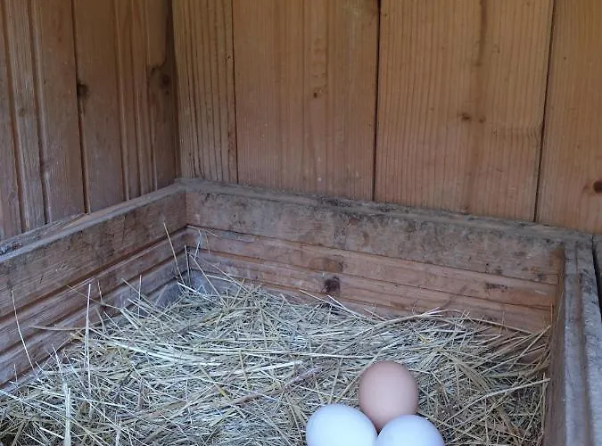 Lägenhet Collina E Mare Camogli