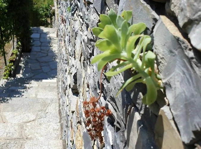 Collina E Mare Lejlighed *