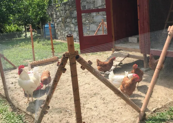 Collina E Mare Lejlighed Camogli