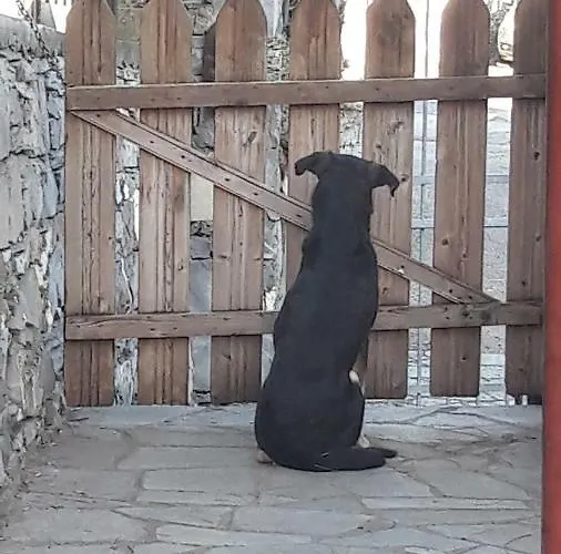 Collina E Mare Lejlighed *